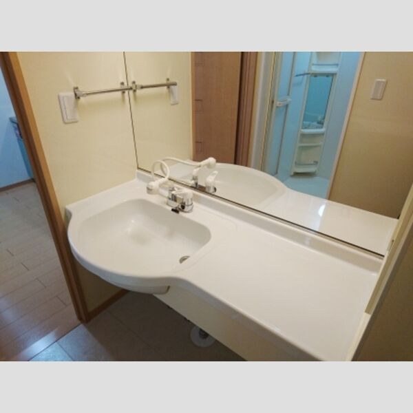 トレビナ保谷210号室 洗面