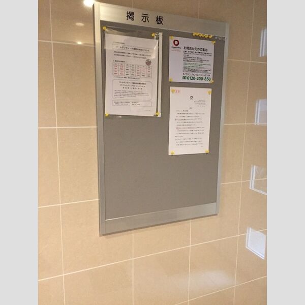 ステラ　トーレ(Stella　torre) 掲示板