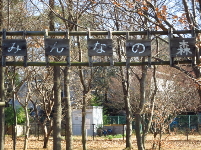 コーポマリーナ成城205号室 みんなの森