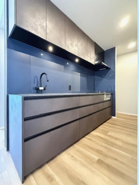 Ｂｒｉｌｌｉａ　ｉｓｔ　東雲キャナルコート14階 キッチン