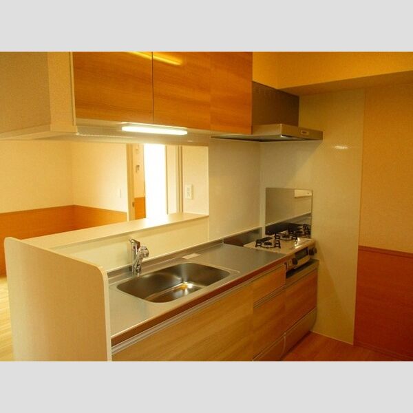 セリナ木更津　A キッチン