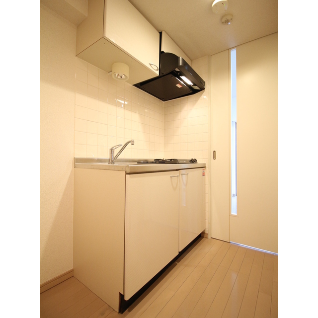 プレール・ドゥーク虎ノ門601号室 システムキッチン