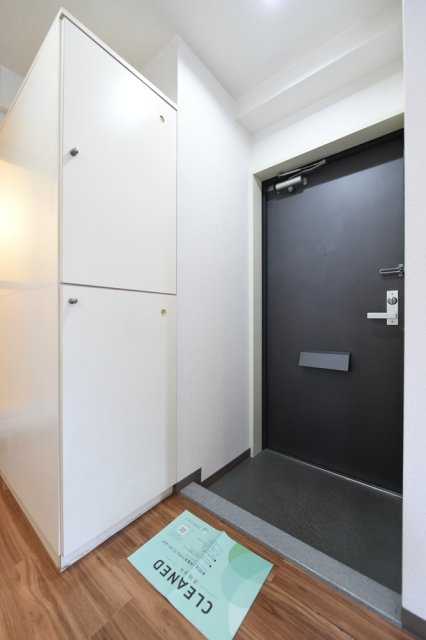 スカイノブレ川崎柳町 玄関