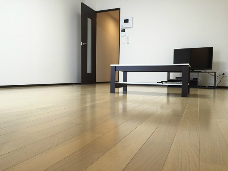 クレイノＭ　アルカンシェル リビング