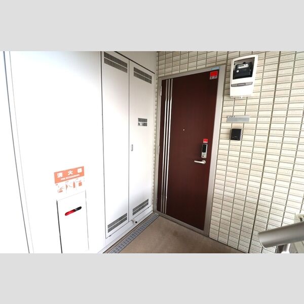 パーチェメゾン明日香 玄関ドア