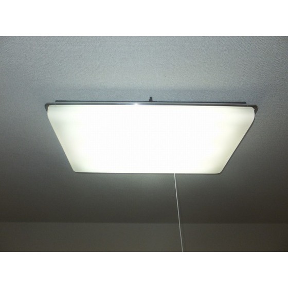 カーサグリスメイユー0204号室 照明