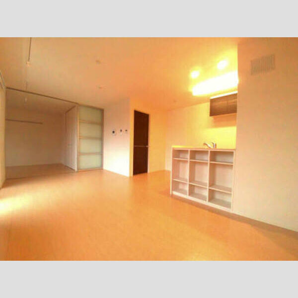 リシェル 203 カウンター収納付のLDK