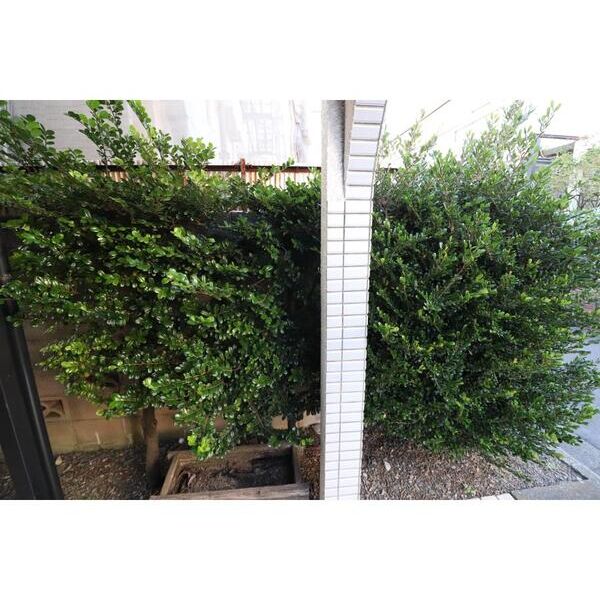 サンライズトーワ203号室 部屋その他