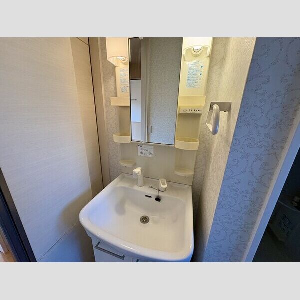 ベルデュール 洗面所