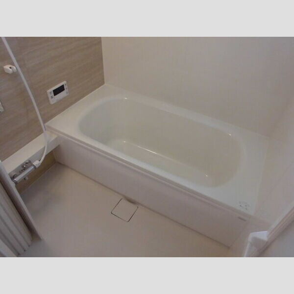 ロイジェントパークス レイクタウン Ⅲ　E210号室 浴室