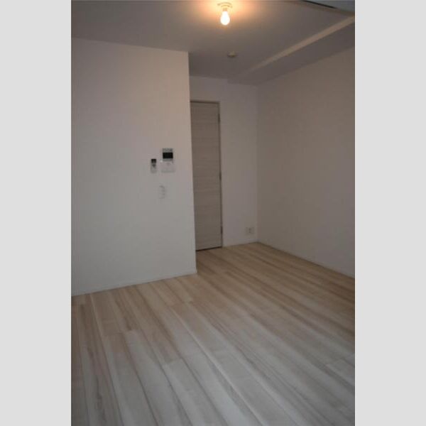 S-RESIDENCE新御徒町East101号室 リビング