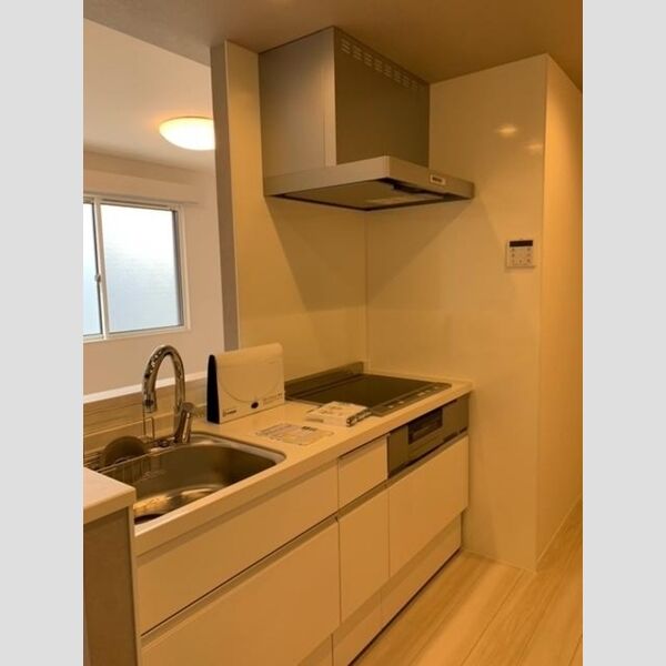 D-room・K302号室 キッチン(システムキッチン)