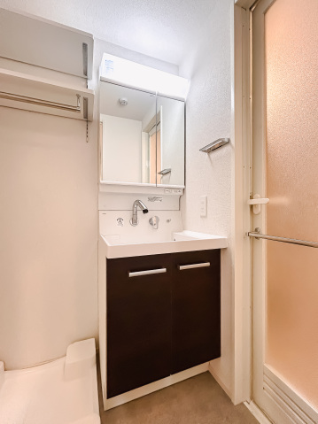 アイル グランデ川口313号室 洗面