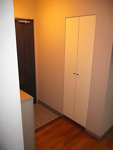 テレパレス船橋三咲Ｂ棟4階 収納(廊下)    ※前回募集時2020年6月撮影