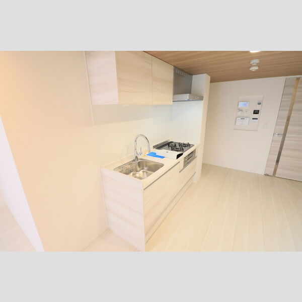 D Paina 中野島Ⅱ205号室 キッチン
