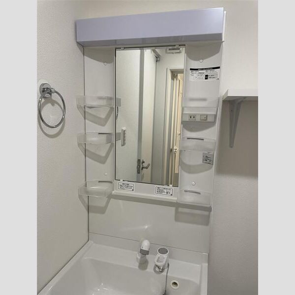 リーブルファイン大袋駅前401号室 洗面