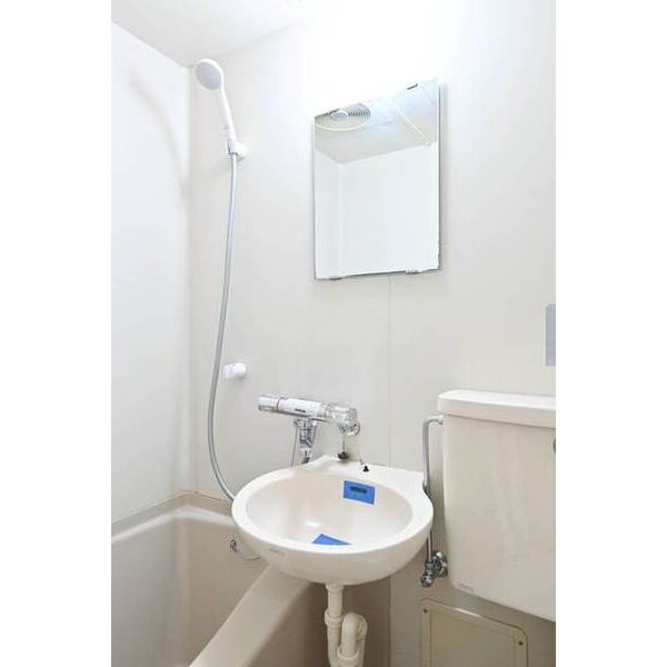 メゾン・ド・ノブレッス 洗面