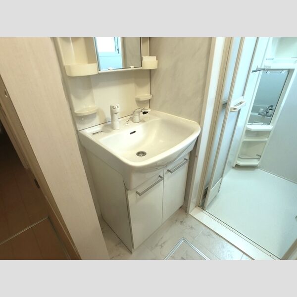 サキクサノ郷Ⅱ 洗髪洗面化粧台