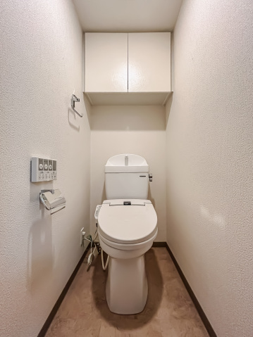 スカイコートパレス千川 トイレ