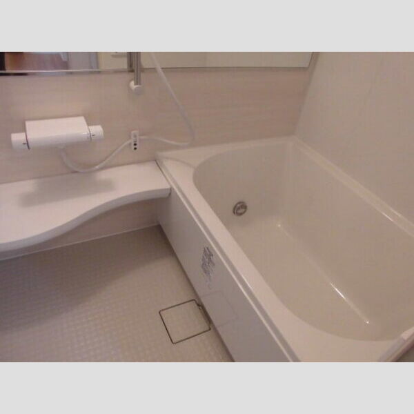 メゾン・ド・ノール おおたか 浴室