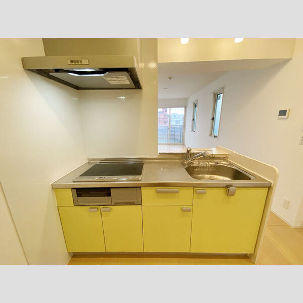 CRAPE MYRTLE 駒沢公園通り 202号室システムキッチン