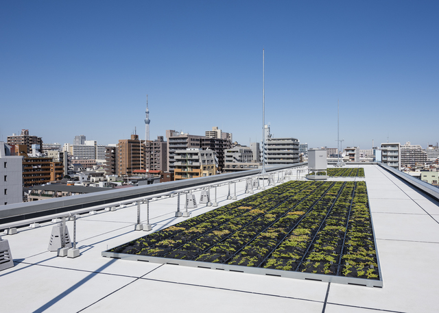 グランド・ガーラ大島4階 その他