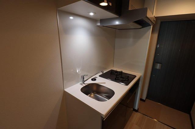 ジェノヴィア浅草Ⅴスカイガーデン12階 玄関