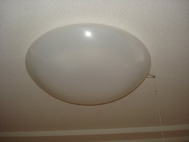 フローラリア303号室 照明