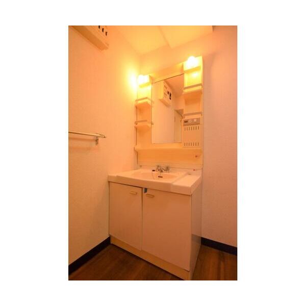 グランフォーレ502号室 洗面