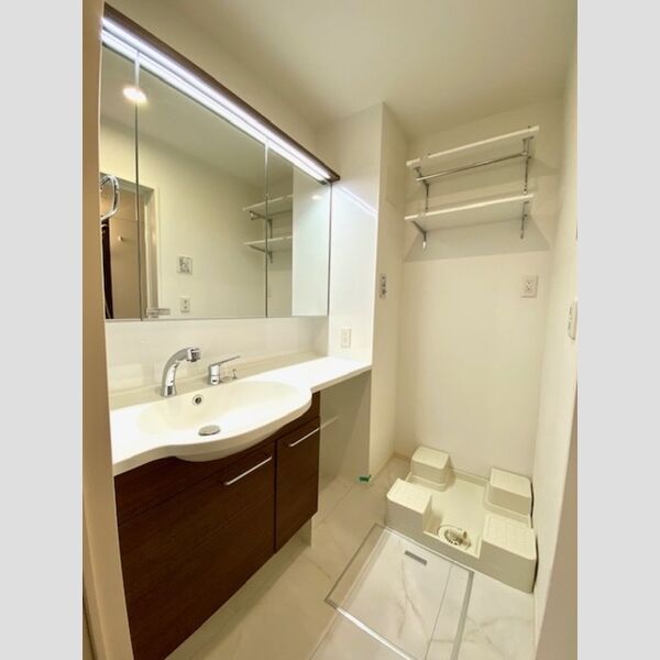 ラウェル大森303号室 洗面所