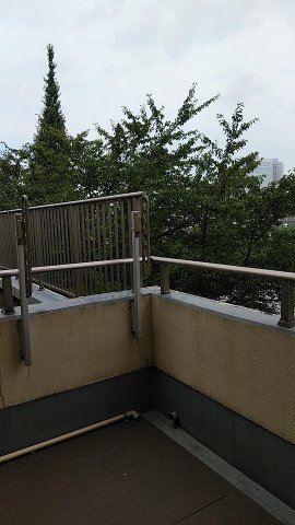 プライムアーバン本駒込307号室 307号室からの眺望　※参考写真