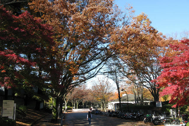 グレイス深沢405号室 周辺