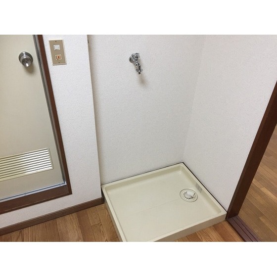 マディソン新大塚0101号室 室内洗濯機置き場