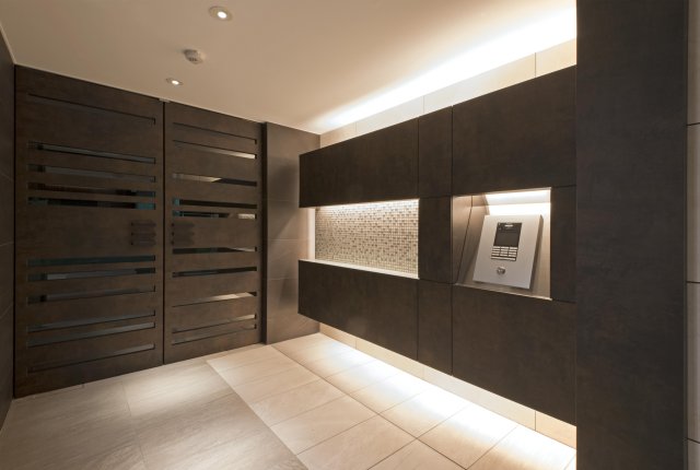 DIPS西日暮里201号室 エントランス