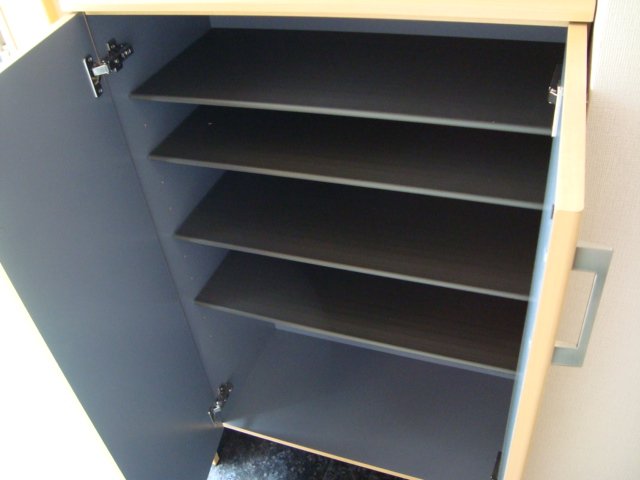 エクセレント南柏203号室 下駄箱