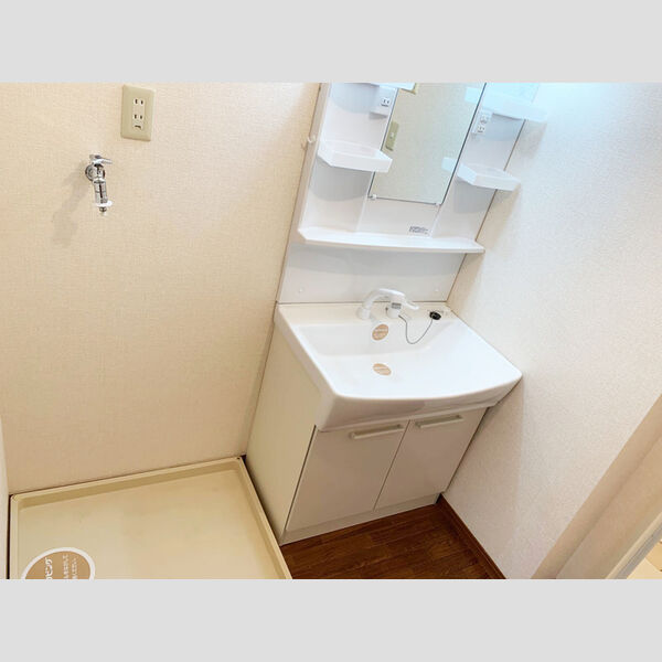 アルファタウン秦野新町　B301号室 シャワー付洗面化粧台