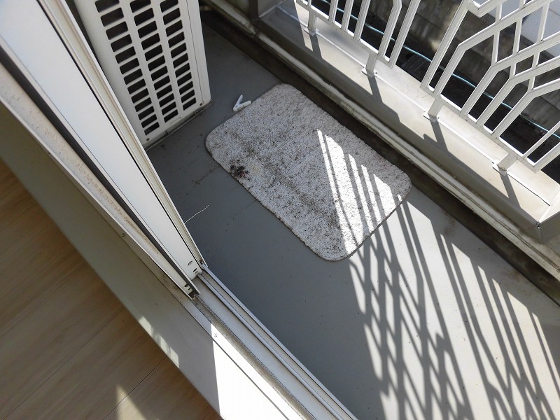 プルミエ弐番館(K-065) バルコニー