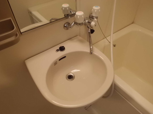 エクセルコート菊名 洗面