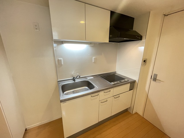 グリーンフラッツ0302号室 キッチン