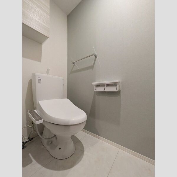 D-asset中原101号室 トイレ