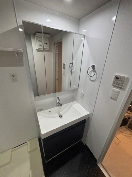 Ｔｈｅ　Ｓｈｉｎａｇａｗａ　Ｅａｓｔ　Ｒｅｓｉｄｅｎｃｅ1階 洗面