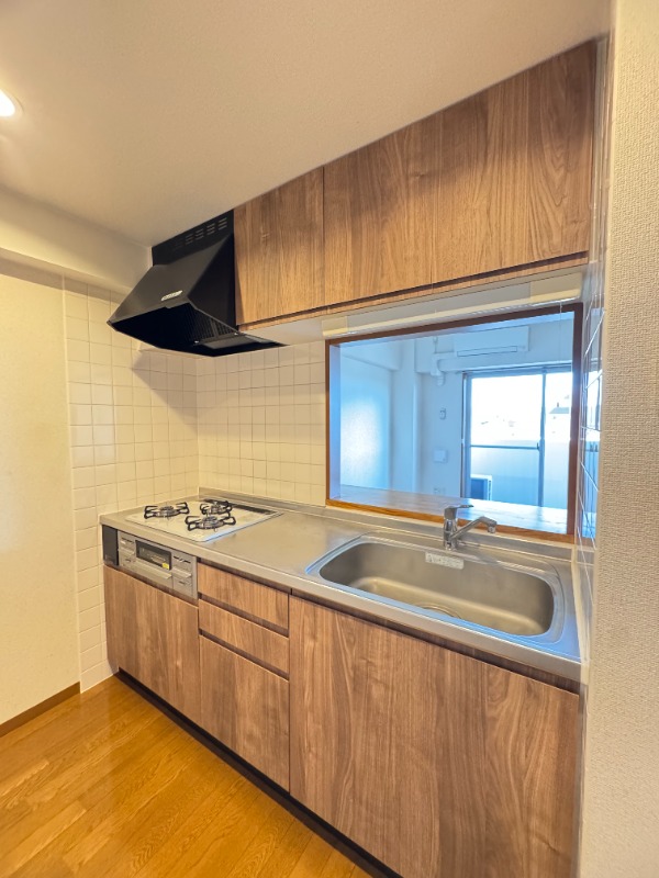 アウラ１０(E-058)3階 洗面所