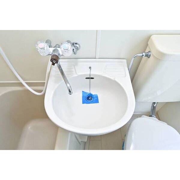 メゾン・ド・ジュール0205号室 洗面