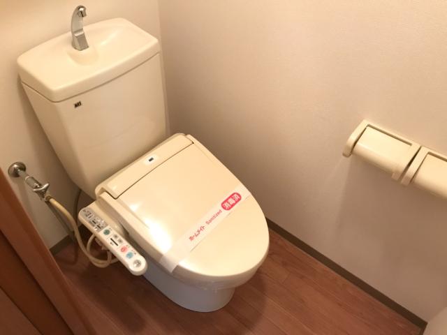スカイパークオキツカ305号室 シャワー付トイレ