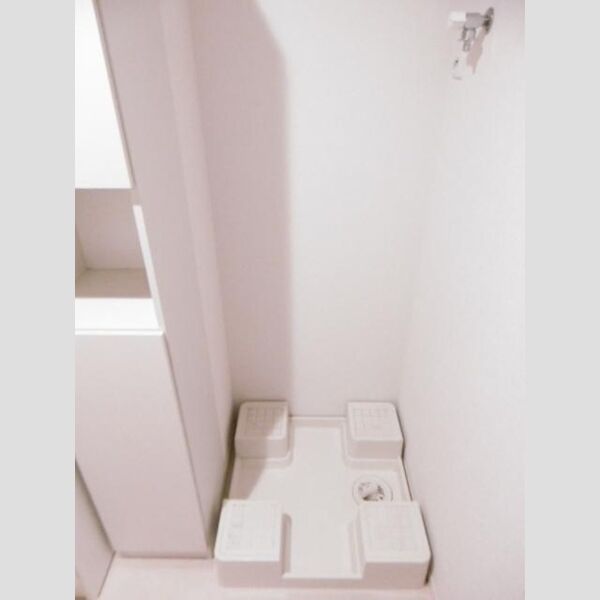 ソワーニュ103号室 洗濯機置場(隣に収納有り)