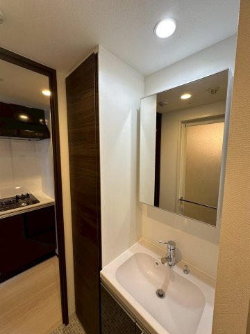 GENOVIA平塚Ⅲ0701号室 洗面