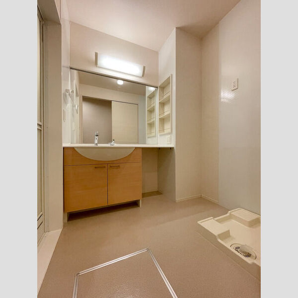 大黒屋ハイツ 三番館103号室 洗面脱衣所洗髪洗面化粧台&室内洗濯機置き場