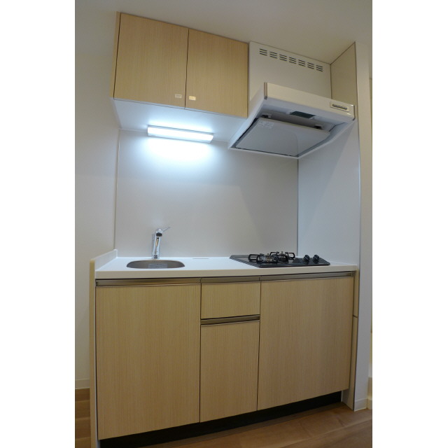 エルスタンザ平井0201号室 キッチン