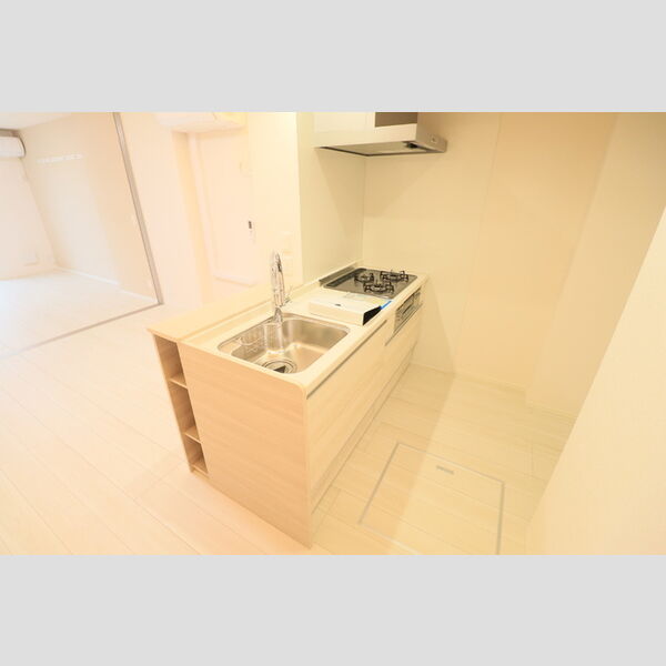 D Paina 中野島Ⅱ106号室 キッチン