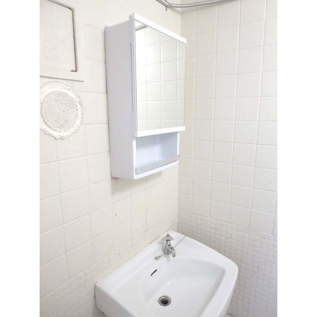 メゾン・ド・メルシー1001号室 独立洗面化粧台